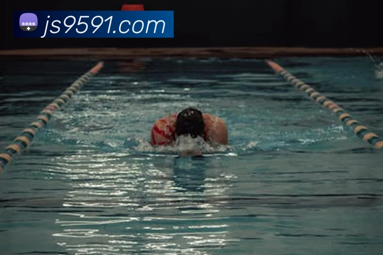 金沙国际官网平台生态图